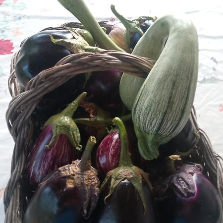 Agri Bertorella Cuneo Dış mekan fotoğraf