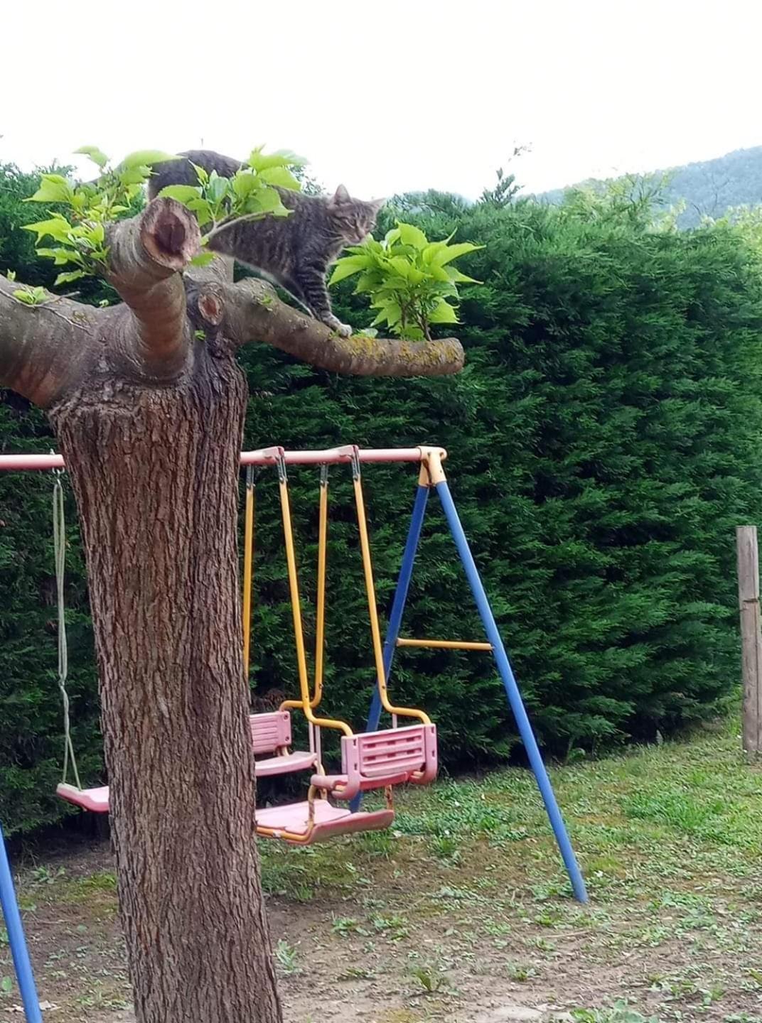 Agri Bertorella Cuneo Dış mekan fotoğraf